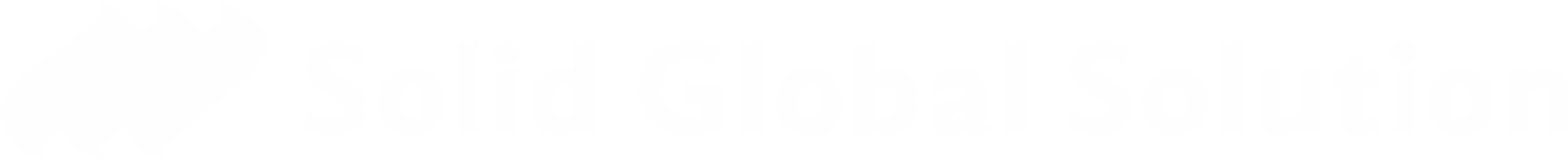 Solid Global Solution Logo